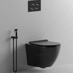 Matte Black Executive Round Pan Concealed Toilet
